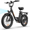 URLIFE E-Bike für Erwachsene, 20 * 3.0 Fetter Reifen Elektrofahrrad Für Stadtpendler, 48V 13Ah Austauschbarem Akku bis 100KM, 250W Motor mit LCD Display, 7 Gang Elektrofahrräder Für Herren Damen