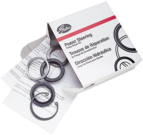 ACDelco 36-348621 Profi Lenkgetriebe Ritzel Wellendichtring Kit mit Klemmen, Dichtungen, Halterungen und Mutter