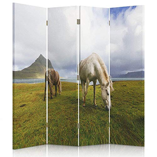Feeby Frames
