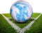 pwavum Fussball Ball, Offizieller Training Fußball Größe 5, Fussball Kinder Unisex, Indoor Outdoor Explosionsgeschützt fußbälle, Leder Fusball für Jugendliche und Erwachsene