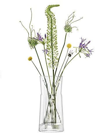 LSA Gio Line Laterne/Vase, Glas, Clear, H38cm