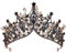 Hochzeitskrone für Braut, Krone Damen Königin Prinzessin Krone Erwachsene Geburtstagskrone Mädchen Hochzeitsschmuck Diadem Diadem Schwarz