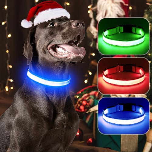 Visinite LED Dog Collar USB Rechargeable, Reflective Light Up Pet Collar for Night Walking, Adjustable Glow Collar for Small Medium Large Dogs (Blue, L)
