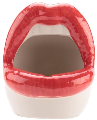 Jrifedptry Vaso a forma di cactus, in ceramica, per piante e fiori, sexy, con grandi labbra, per casa e ufficio, rosso
