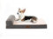 EMME Orthopädisches Hundebett Mittelgroße Hundekissen 70 x 50.5 x 14.5cm, T-Form, Hundebett kleine Sofa Flauschiges Hundematte Hundematratze, Nackenrolle, Mit Waschbares Bezug, Hundecouch, Grau