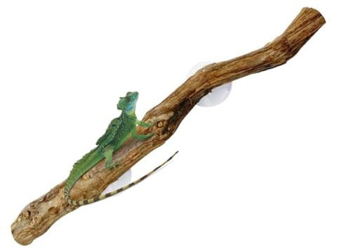 Roxvue Reptilienzweige zum Klettern, Einzigartiger Bartagamenzweig, Natürliche, rutschfeste Lebensraumdekoration, Reptiliendekor