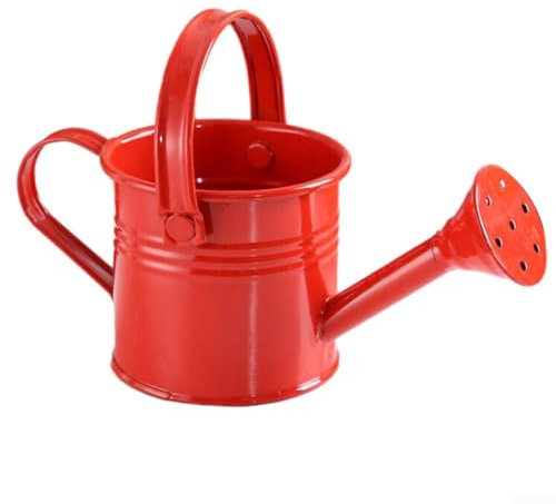 SPORTARC 1 arrosoir de jardin, petit pot de fleurs en métal arrosé (rouge), KXO12IN06090LC6G44BDB537Y7P1
