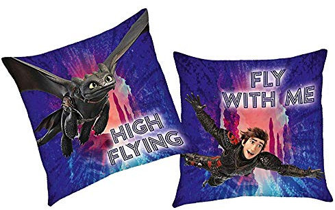 Dragons Flieg mit Mir | Kinder Deko-Kissen 40 x 40 cm | DreamWorks