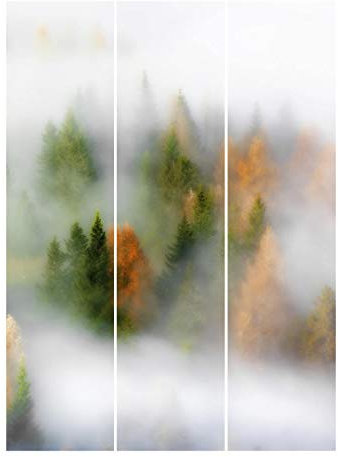 Bilderwelten Schiebegardinen Set - Nebelwald im Herbst, 3 Flächenvorhänge á 250 x 60cm