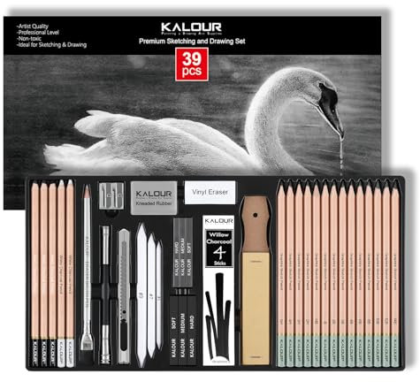KALOUR PDAS 39pcs Drawing Pencils Set, Professional Sketch Pencils (5H-14B), Black and White Charcoal Pencils for Sketching, Eraser Brush Pen, Charcoal Sticks, Art Pencils Set for Artists & Beginners