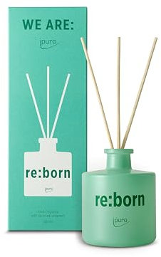 ipuro re:born Raumduft - 100ml Raumerfrischer mit Zitrus, Kardamom & Vanille Duft - aus nachhaltigem Gewürzsaaten-Upcycling - Diffuser mit Stäbchen - Lufterfrischer für die Wohnung