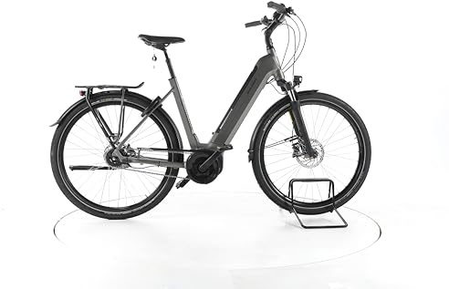 RALEIGH E Bike Bristol XXL City E-Bike Damen Herren 28 Zoll Elektrofahrrad, Bosch 60 Nm 625 Wh, 5 Gänge, Hydraulische Scheibenbremse 180-195 cm grau (Generalüberholt)
