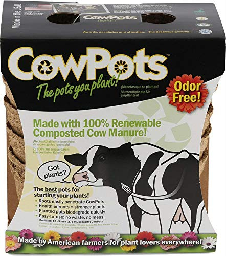 COWPOTS LLC - Plantable Pots, Round, 3-In., 12-Pk.