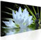 murando - Tableau décoratif nature 120x40 cm - Impression sur toile colorée - Décoration murale pour salon et chambre - Fleurs de pierre feuilles de lys orienter les plantes eau zen b-B-0272-b-a