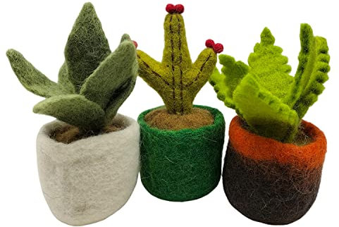 your castle 3er Set Mexiko Sukkulenten und Kaktus, künstliche Pflanzen im Topf aus Filz, fairer Handel, nachhaltige Deko aus Filz, realistische Kunstblumen, Filzblüten, Höhe ca. 11 cm