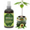 Professional Avocado Spray Fertilizer Mist for Home Gardening | 3-1-2 Gentle Blend Mist for Healthy Leaves & Growth | Essential Nutrients for Avocados - 8oz
