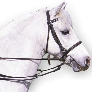 Mackey Equisential Anti-Grazing Reins