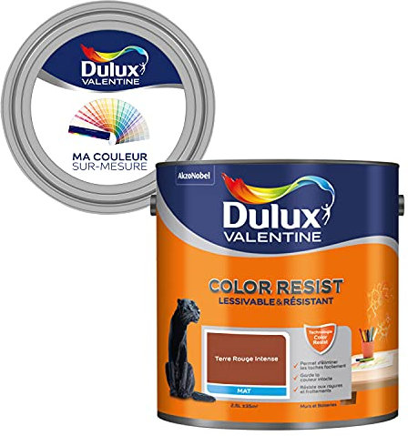 Ma Couleur Sur-Mesure par Dulux Valentine – Peinture Intérieure Murs, Plafonds, Boiseries - Palette expressive, Pièce à Vivre Mat, Terre Rouge Intense, 2,5 L