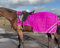 Equipride Reflex Hind Übungstuch / Sattellücke / Pony, Neon-Pink