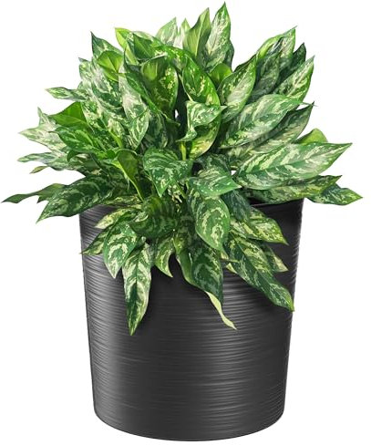 KADAX Blumentopf, eleganter Übertopf mit Einlage, Topf, Gartenschale, Blumenkübel, Blumentopfschutz für Wohnzimmer, Büro (Graphit, ⌀ 30cm)