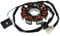 2EXTREME Lichtmaschine Stator für Kymco Super 8 50 2T, Top Boy 50, Yager 50