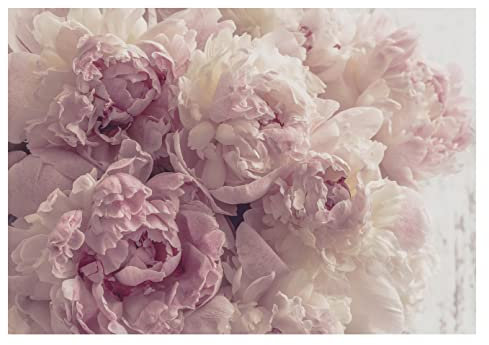 WallArena - Vlies Fototapete Blumen Pfingstrose Romantisch Rosa Rosen 416x254 cm - Fototapeten - Tapeten - für Wohnzimmer Schlafzimmer - Vliestapete Wandtapete Tapete 3D Effekt- inkl. Kleister