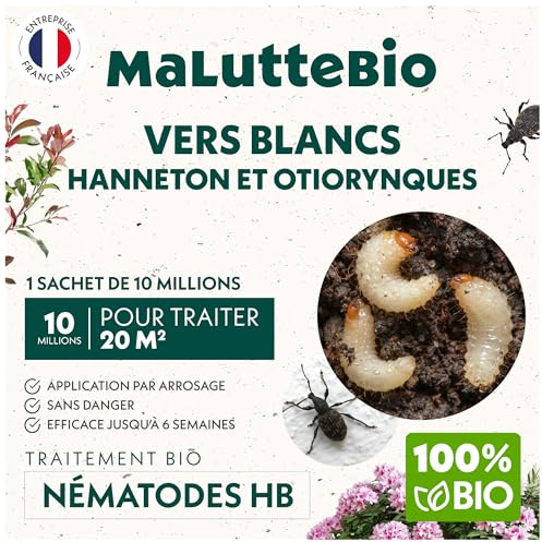 Nématodes HB contre les Vers Blancs (10M) pour 20 m² – Produit naturel et 100% efficace pour éliminer les vers blancs et les hannetons et otiorhynques du jardin, pelouses et plantes