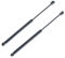 Frankberg 2x Ressorts à Gaz Hayon Compatibles avec Clio II BB CB Tous Moteurs Hatchback 1998-2005 Remplacer# 7700842256