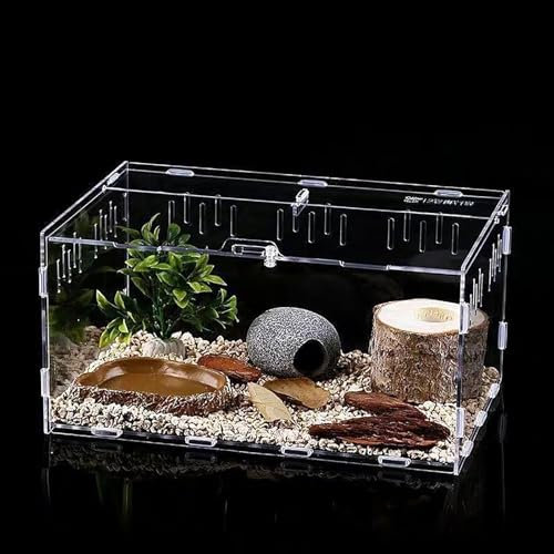 AMZTEMU Acryl Vivarium, Reptile Terrarium Box, Reptile Food Box, Portable Habitat for Reptiles and Amphibians, Suitable for Spiders, Lizards, Frogs, Scorpions, Barbecues, Geckos(30 * 20 * 15cm)