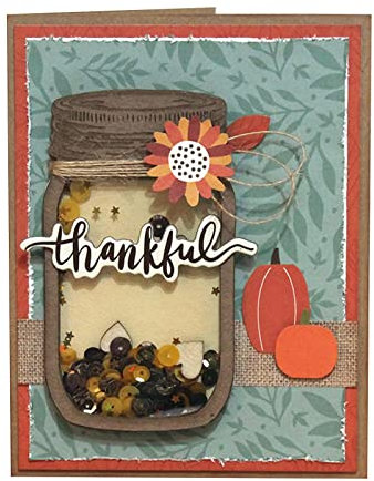 Pocoiau Einmachglas Shaker Metall Stanzformen Schablone Scrapbooking Albumform
