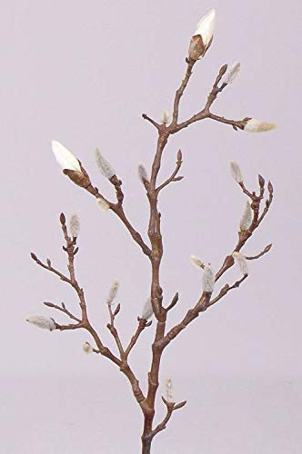 artplants.de Deko Zweig Magnolien Zweig Asani, weiß, 70cm - Kunstzweig
