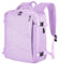 Leyrica Sac à Dos Cabine 45x36x20 pour Easyjet - Bagage Avion, Valise à Main, Imperméable, de Voyage, Sport, École, Travail (Violet)