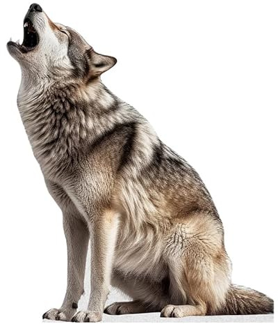 Wolf – Lebensgroßer Pappaufsteller Aufsteller Menschen mit Stützständer | Tiere -