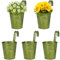 BOFUNX 5 Maceteros Colgantes de Hierro de Metal Macetas Pequeñas Colgar con Gancho con Orificio de Drenaje de Color Verde Vintage para Decoración Exterior Balcón Jardín Patio Pared Terraza
