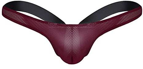 IEFIEL Homme Sexy Jockstrap String Tanga Micro Transparent sous-vêtements Thong Taille Basse Extensible Bikini Lingerie S-2XL Vin Rouge L