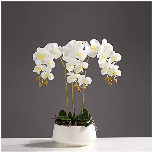 JIAChaoYi 3/6/10 Köpfe Real Touch Künstliche Orchideen Bonsai, Gefälschte Kunststoff Phalaenopsis Blumen Anordnung Tischdekoration für Zuhause/Parlous/Hochzeitsfeier(Color:3white)
