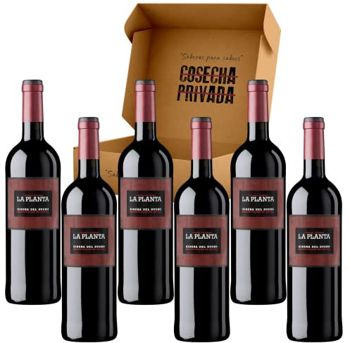 La Planta Vino - Envío Gratis 24H - Estucche 6 Botellas - Bodegas Arzuaga- Ribera del Duero - Vino Regalo - Seleccionado y Enviado por Cosecha Privada