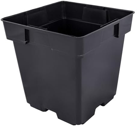 Pullmer Vaso da coltivazione, 16 x 16 x 16 cm, 10 pezzi, vaso da fiori quadrato per piantine, per piantine o talee, vasi da fiori in plastica, ideale per serra o orto (10,16 x 16 cm)