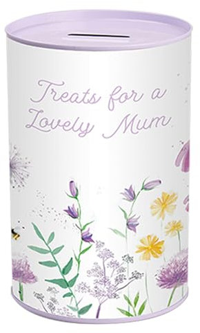 Mothers Day Money Tin Savings Bank Lovely Mum 1758