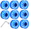eurNhrN Skatezubehör Luminous Skateboard Räder 82A 58x32mm Doppelreihe Quad Roller Ersatz Blau 8pcs