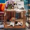 BingoPaw Hundekäfig Möbel Hundebox Wohnzimmer: Transparent Hundegitterbox aus gehärtetes Glas und stabil Aluminiumrahmen, Hundetransportbox mittelgroße Hunde bis 70kg, L 90x61x75.5 cm, braun