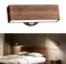 Magnetic Rechargeable Wall Light Indoor, Battery Operated Wall Lights Indoor Wall Mounted Lamp Night Light Portable Removable with Magnetic 360 Rotation, Dimmable Wireless Wall Sconce for Picture