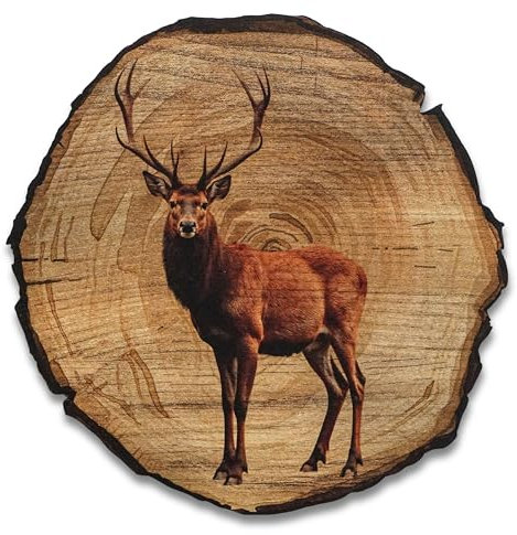 DRO Design Hirsch - Größe 30cm - Rustikales Wandbild im Vintage Look – Holzoptik Wanddeko mit Motiv für Wohnzimmer und Flur – Geschenkidee für Tierliebhaber, Wandgemälde