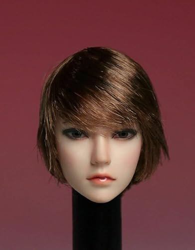 1/6 Skala Weiblicher Kopf Sculpt,Asiatisches Mädchen Gepflanzt Haar Kopf Geschnitzt Head Sculpt für 12inch Weiblich Action Figur Körper (Kurzes Haar)