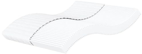 vidaXL Schaumstoffmatratze, Bettmatratze mit Matratzenbezug, Matratze für Doppelbett, Kaltschaummatratze, Weiß 200x220cm Härtegrad H2 H3