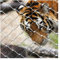 pujindu Stainless Steel Rope Net, Multifunctional Metal Mesh, Stair Protection Net, Garden Animal Poultry Cage Net For Balcony Stair(12cm)