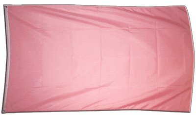 Flaggenfritze Fahne/Flagge Einfarbig Pink + gratis Sticker