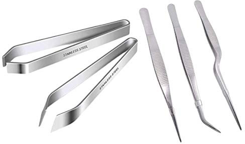 Bdjim – Set di 5 pinze professionali in acciaio inox – Pinza per pesce – Pinza spina pesce – Pinza da cucina – Pinza ferma pesce + eBook in omaggio.