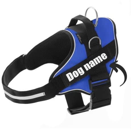 SUPER DOGGY Personalisiertes Hundegeschirr - Reflektierendes und sicheres Hundegeschirr - Enthält 2 Namensschilder, Klein, Mittel und Groß - Qualität und Beständigkeit (Azul, XS 3-7KG)