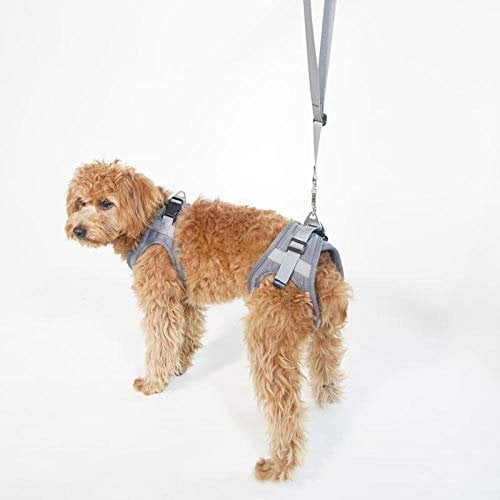LVYONG Ältere Hundealte Hunde Hinterbeingurte Behinderte Verletzungen Ältere Hunde Hilfsgurte Rehabilitationsübungen Für Hinterbeine Mit Hundehilfsgurten-Grau_Xs Gehhilfe Für Hunde (Hinten) Tragegurt